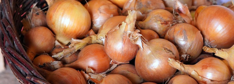 Второй год подряд фермеры взлетают с ценами на лук: они ожидали 30–40 грн, а получили 15