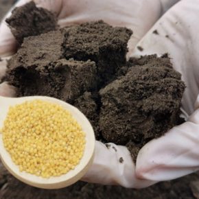 Хозяйки рассказали, как эффективно использовать простоквашу