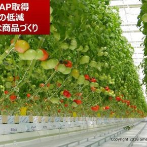 Япония готовится к скачку сельскохозяйственного производства, заявил эксперт