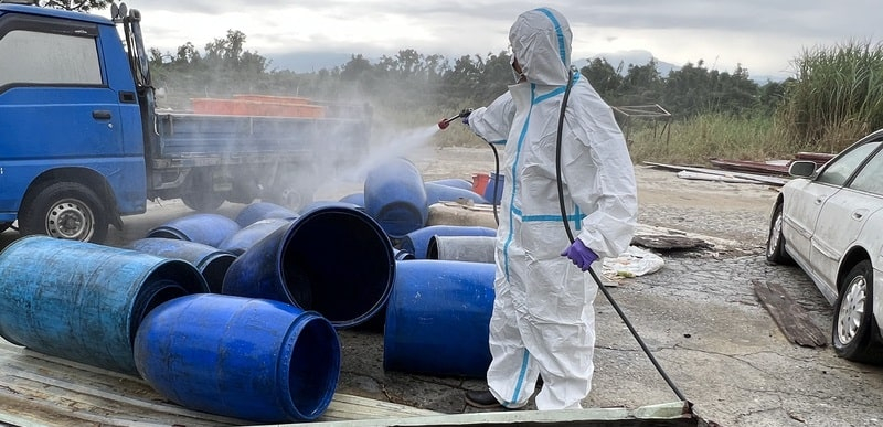 На Тайване обнаружена ферма, кормящая свиней пищевыми отходами