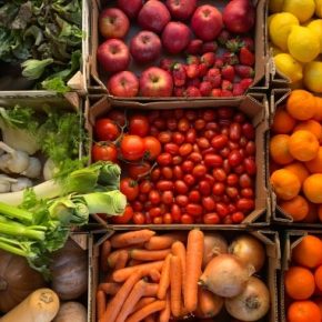 Названы топ-8 мировых экспортеров свежих овощей и фруктов