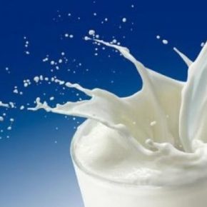 Прогнозы USDA по производству молока в Украине