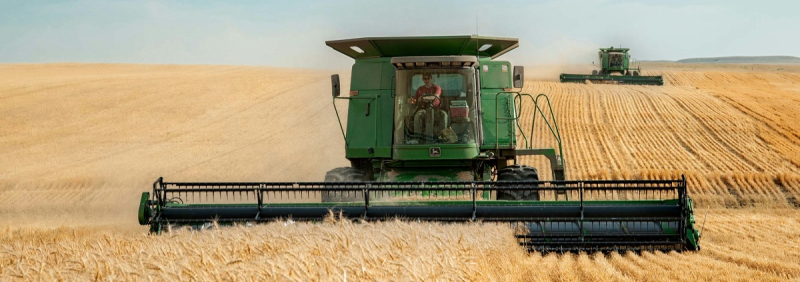 "Каждый пятый украинец работает в аграрном секторе" - Алексей Соболев