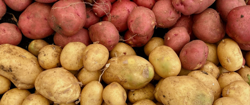 Мировой рынок картофеля лихорадит, перепроизводство оказывает давление на цены