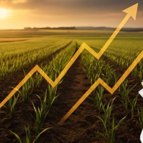 ТОП-5 агрокомпаний с самым большим оборотом в Украине