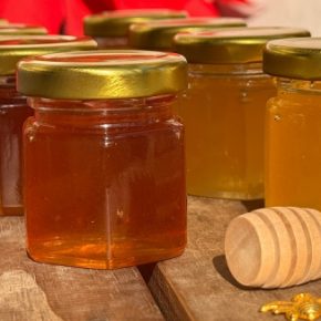 Украина входит в ТОП-5 мировых экспортеров меда: ЕС закупил 70%