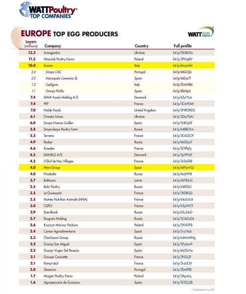 Украинские компании возглавили рейтинг производителей мяса и яиц