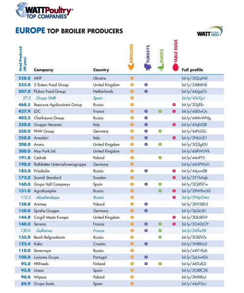 Украинские компании возглавили рейтинг производителей мяса и яиц