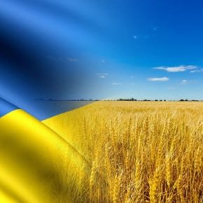 Правительство Украины не договорится с производителями зерна об экспорте пшеницы в этом сезоне