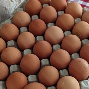 В каких супермаркетах самые дешевые куриные яйца?