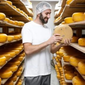 В Украине не хватает профессиональных сыроделов