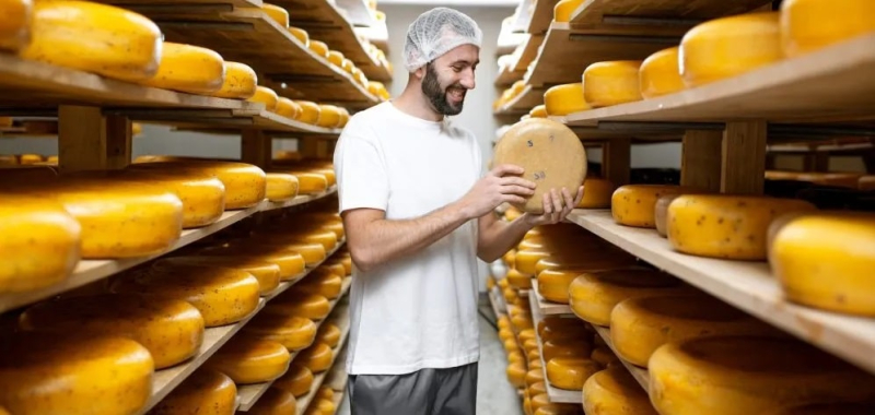 В Украине не хватает профессиональных сыроделов