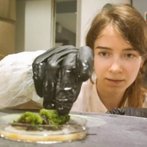 Ученые нашли растение, способное выжить в космосе