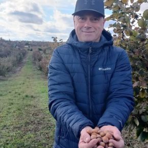 Благодаря гранту фермер с Волыни построил прибыльный бизнес по выращиванию фундука