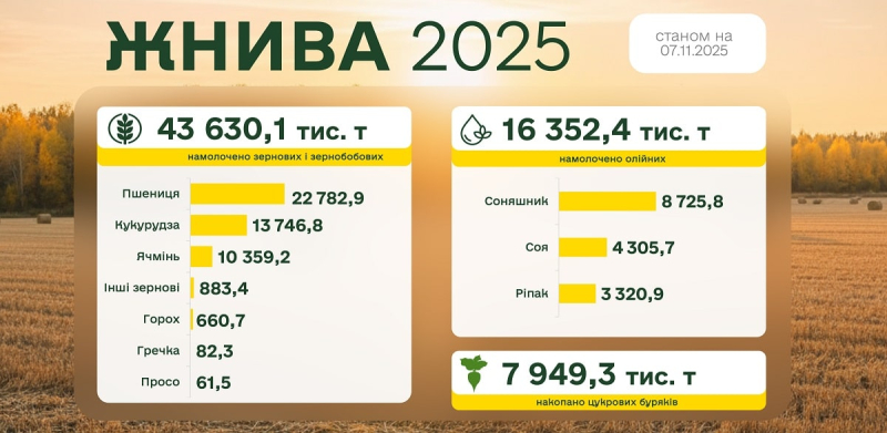 Урожай достигает финиша: 43,6 млн тонн зерна и более 16,3 млн тонн нефти