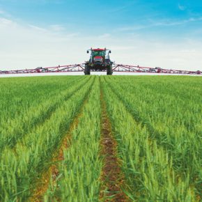 Итоги сельского хозяйства: В ключевых регионах Украины перестали расти озимые