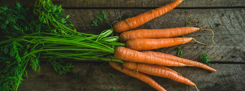 Агроном рассказал, что лучше сажать после моркови в 2026 году