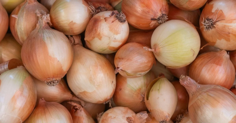 Цены на лук в Украине упали до рекордно низкого уровня