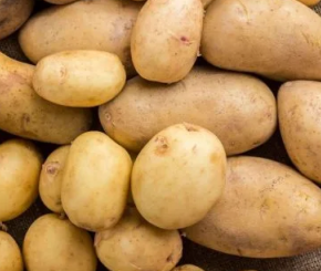 Эксперт объяснил, почему украинский картофель всегда будет дороже, чем в ЕС