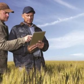 Эксперт объяснил, как увеличить продажи фермы