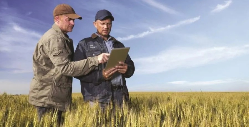 Эксперт объяснил, как увеличить продажи фермы