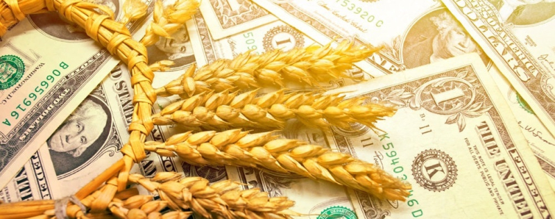 Экспорт пшеницы упал из-за отсутствия спроса со стороны импортеров