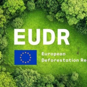 EUDR отложен: ЕС получит дополнительные поставки сои