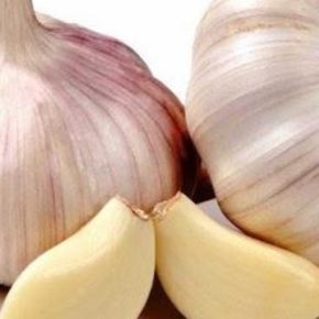 Огородники рассказали, чем подкормить чеснок в декабре для высокого урожая