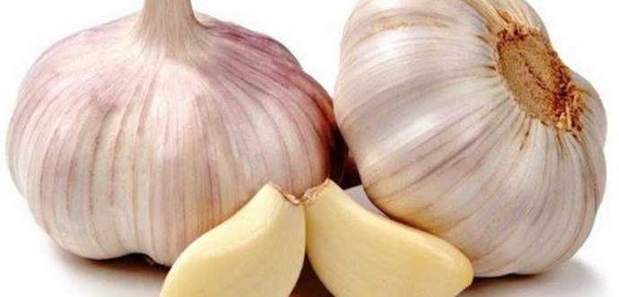 Огородники рассказали, чем подкормить чеснок в декабре, чтобы получить высокий урожай