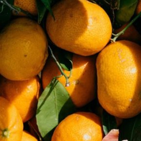 Хозяйка рассказала о хитрости хранения мандаринов