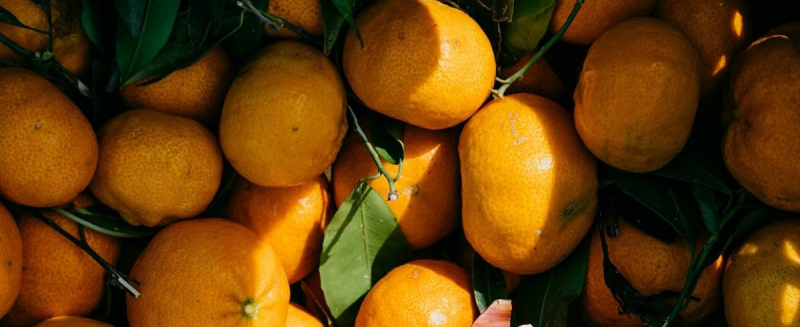 Хозяйка рассказала о хитрости хранения мандаринов