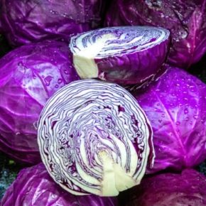 Мода на здоровье: капуста среди ключевых трендов 2026 года