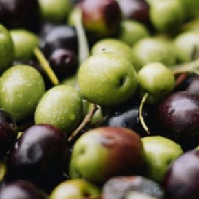 На Херсонщине появится оливковый сад