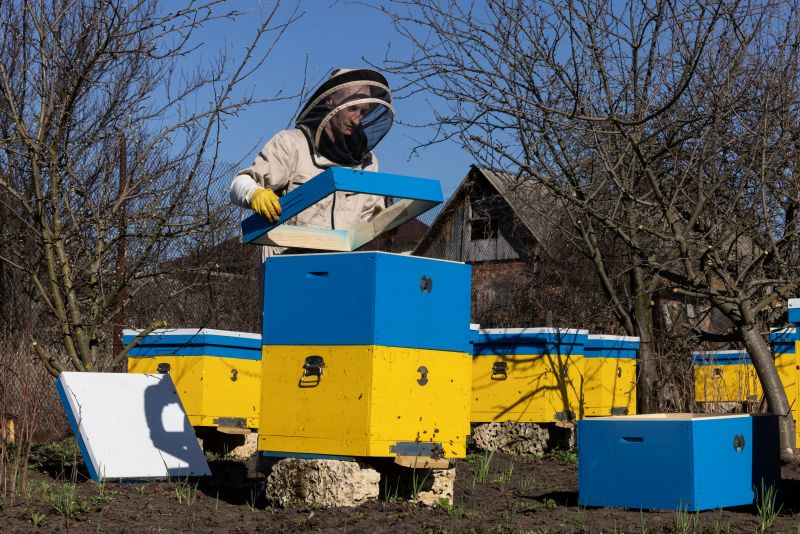 Программа поддержки сельской экономики Украины от Корпуса Милосердия расширяет территорию своей помощи