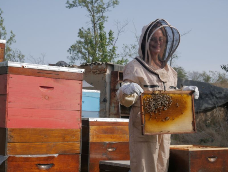 Программа поддержки сельского хозяйства Украины Корпуса милосердия расширяет территорию помощи