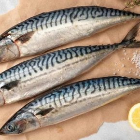 Стало известно, что будет с ценами на популярную рыбу