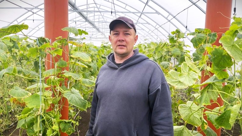 Учитель физкультуры реализовал свою мечту и построил уникальную теплицу