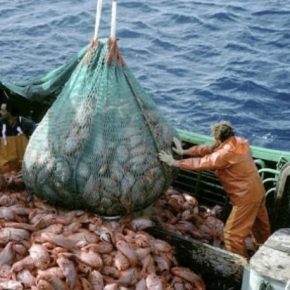 Украина получила квоту на промысловый вылов рыбы в Атлантическом океане