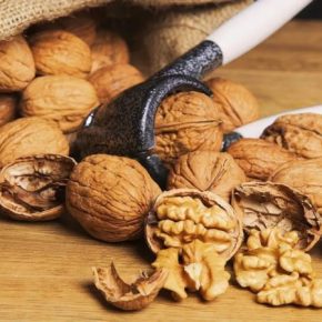 Украинские фермеры создали ореховый сад на 105 га и готовятся к расширению мирового рынка