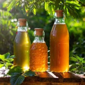 Украинский напиток завоевал золото на международном конкурсе World Kombucha Awards