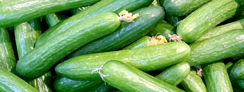 В Украине цены на огурцы снова взлетели: что происходит на рынке