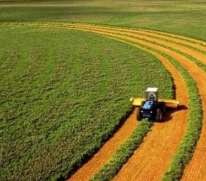 Средний размер фермерских хозяйств в Украине растет