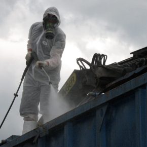 22 тысячи животных под ножом: АЧС выявили в одной из крупнейших свиноферм Латвии