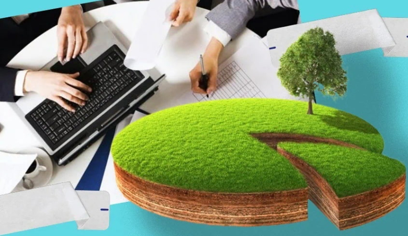 Цены на землю в Украине растут: рынок стабилизировался в 2025 году