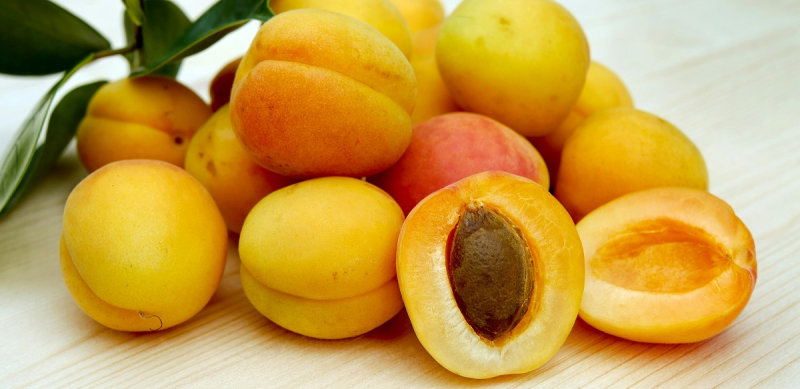 Где сажать абрикосы в Украине? Фермеры нашли