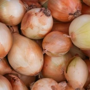 Садовод рассказал 7 способов использования луковиц, о которых вы не знали