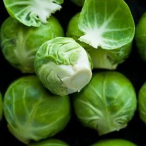 Как получить до 10 тонн с гектара: главные правила посадки брюссельской капусты в Украине