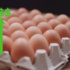 Миллионы на яйцах: экспорт Украины в 2025 году резко вырос