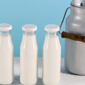 Молочный коллапс: Цены в Европе упали до рекордно низкого уровня. Что теперь будет с украинским молоком?