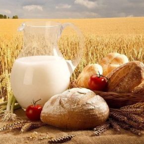 Посевная-2026 станет самой дорогой за последние годы. Выживет ли малый бизнес?